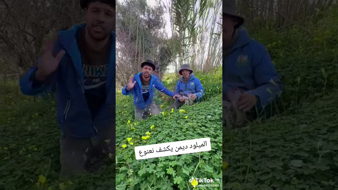 15 فيفري 2026