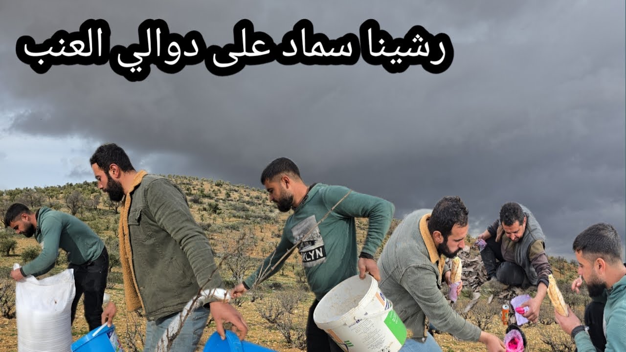 اليوم رحنا رشينا سماد على دوالي العنب قبل المطر احلى اجواء واجمل طبيعة تابعونا للاخير ❤️