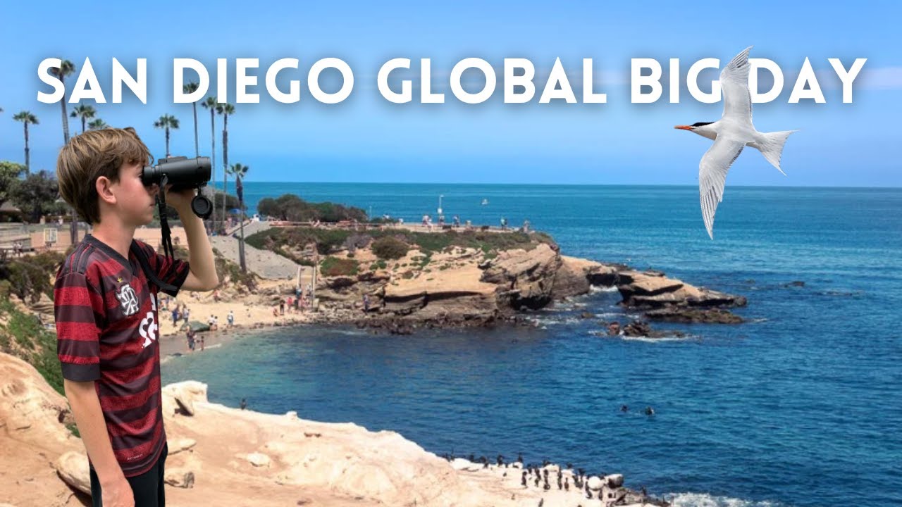 San Diego October Global Big Day