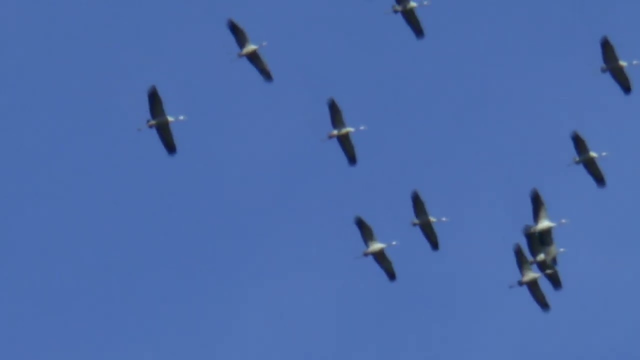 Den Herbst im und am Rande des Eichsfeldes erleben