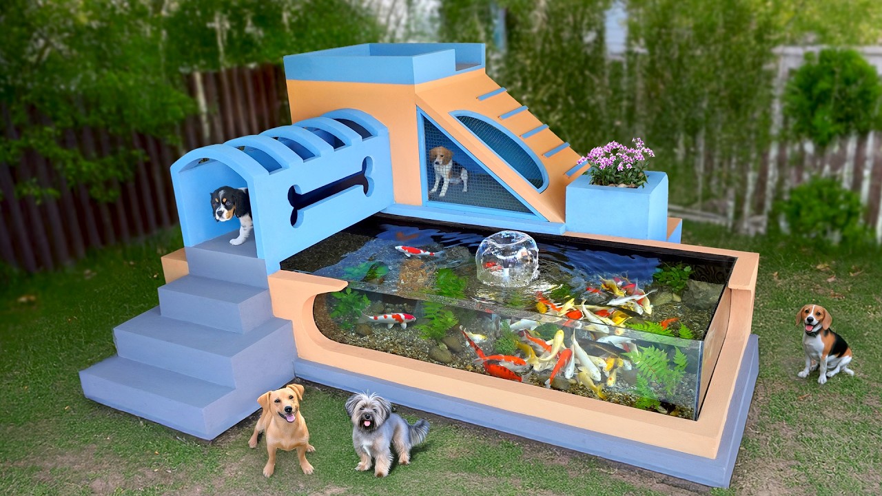 Share tips to build aquarium and dog house combo at home