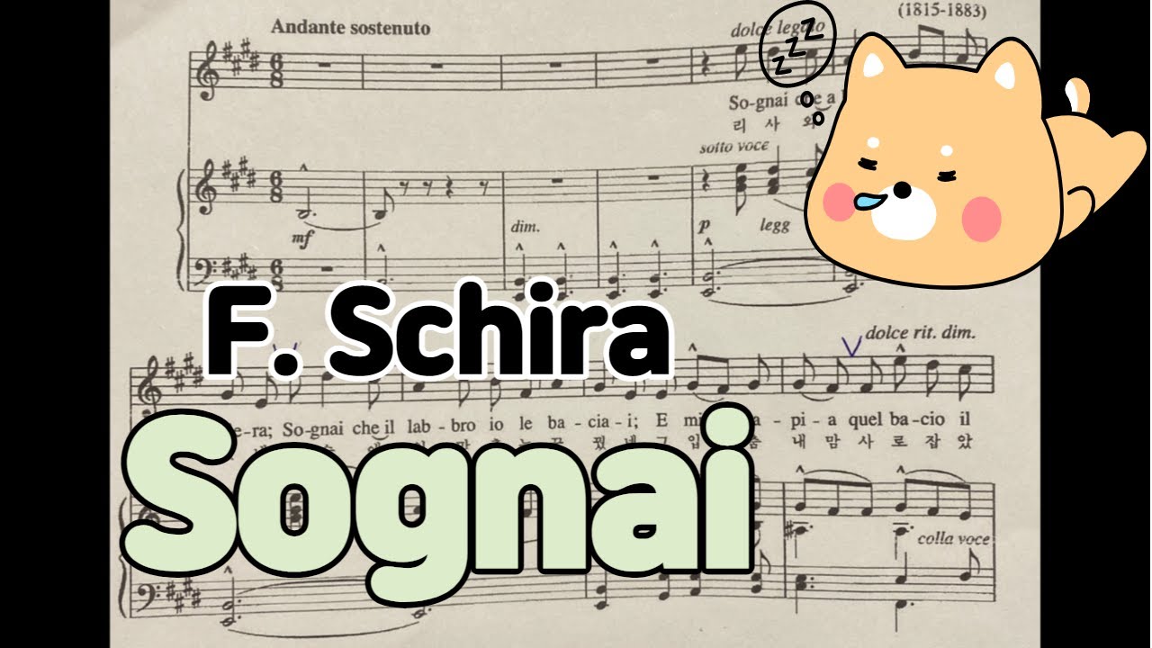 Sognai - [F. Schira] Piano Accompaniment 꿈 반주