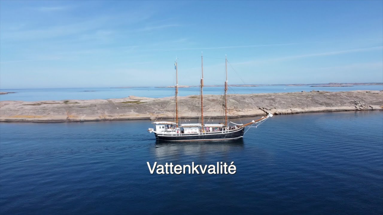 Vattenkvalité