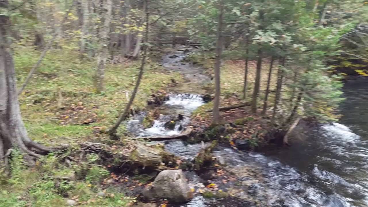 Seven Bridges - Kalkaska County