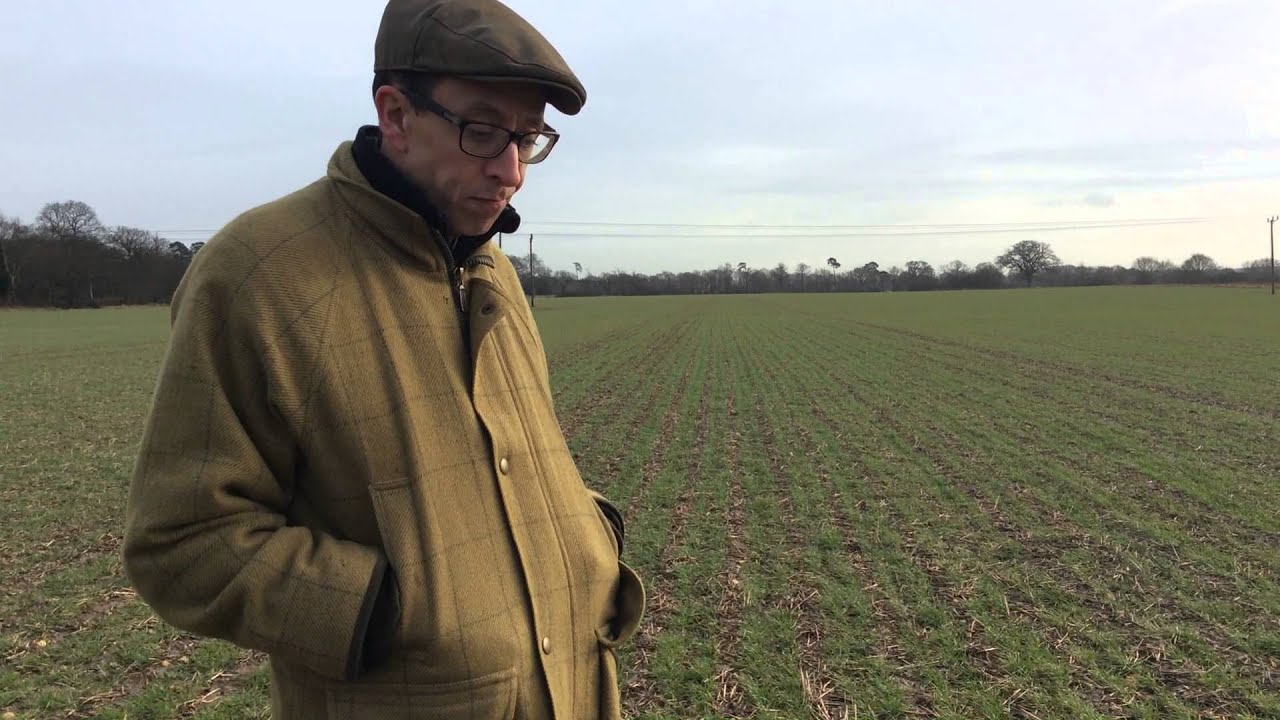 Mzuri Drilled Wheat drilled September in Wet Conditions