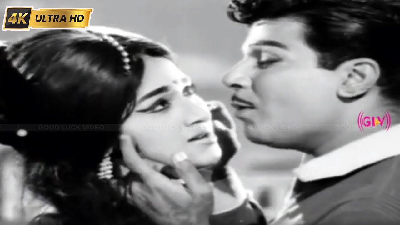 புலவர் சொன்னதும் பொய்யே பொய்யே பாடல் | pulavar sonnathum poiye song |Tms | Susheela | aayaram poi