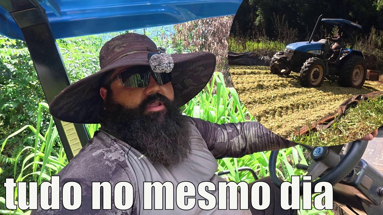 fizemos todo o serviço da silagem no mesmo dia