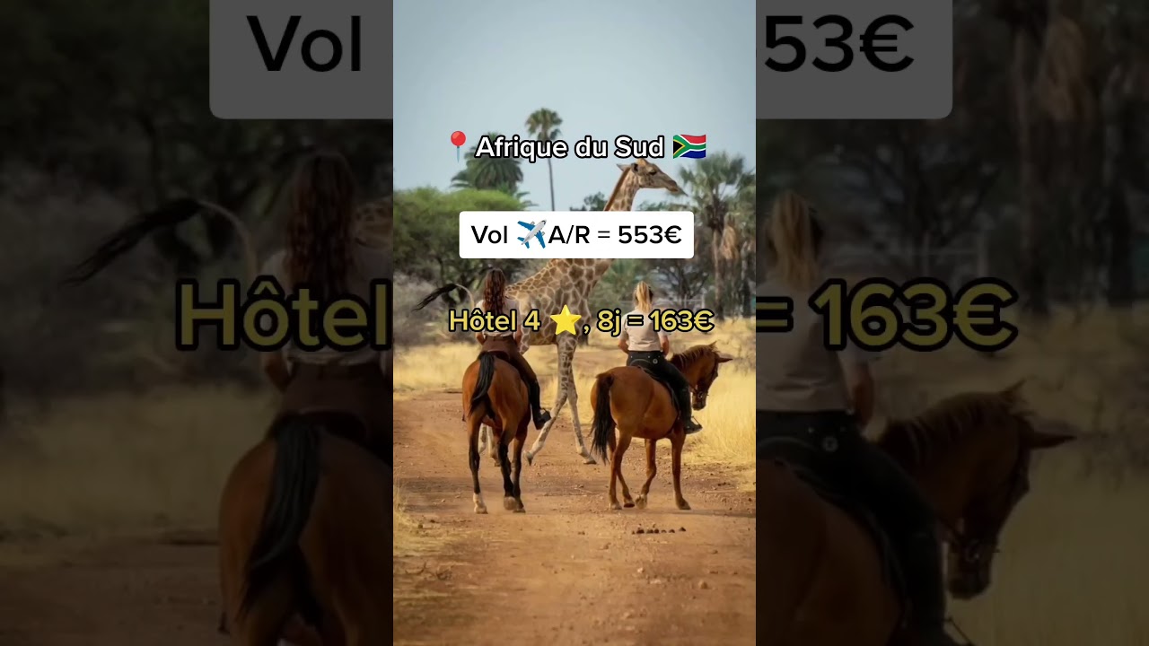 THE destination pour découvrir la faune sauvage !  📍Afrique du Sud 🇿🇦 Vol + Hôtel = 716€ par pers