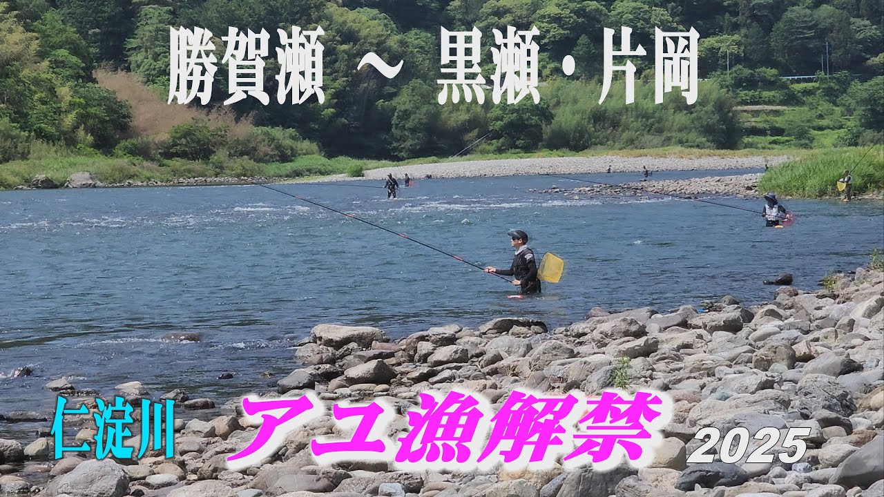 Niyodo River, The Opening of the Ayu Fishing 2025,  仁淀川【アユ漁解禁】勝賀瀬・柳瀬・出来地・黒瀬・片岡まで　 (4K) 　高知県