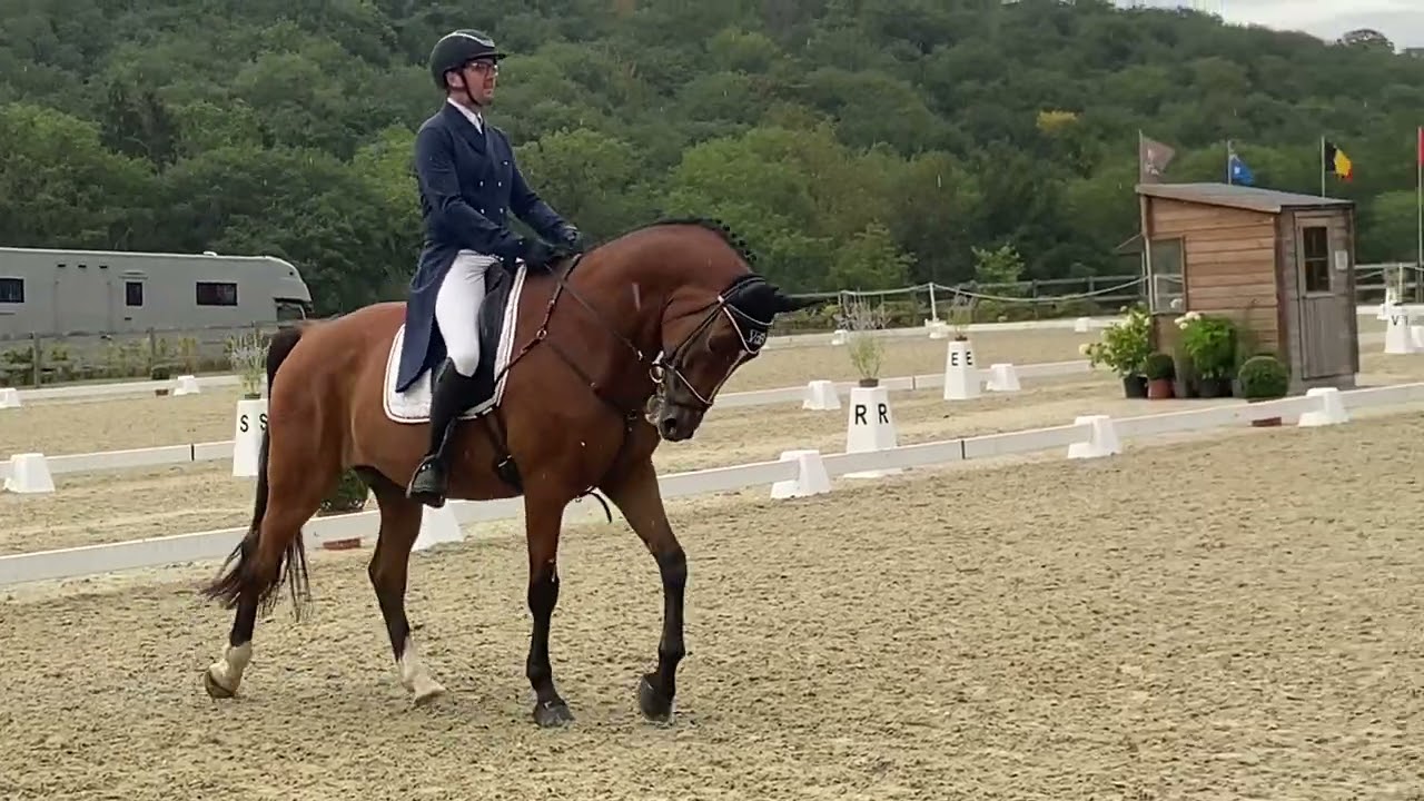 Jumper vd Meyhoeve 3* dressuur Arville 2022