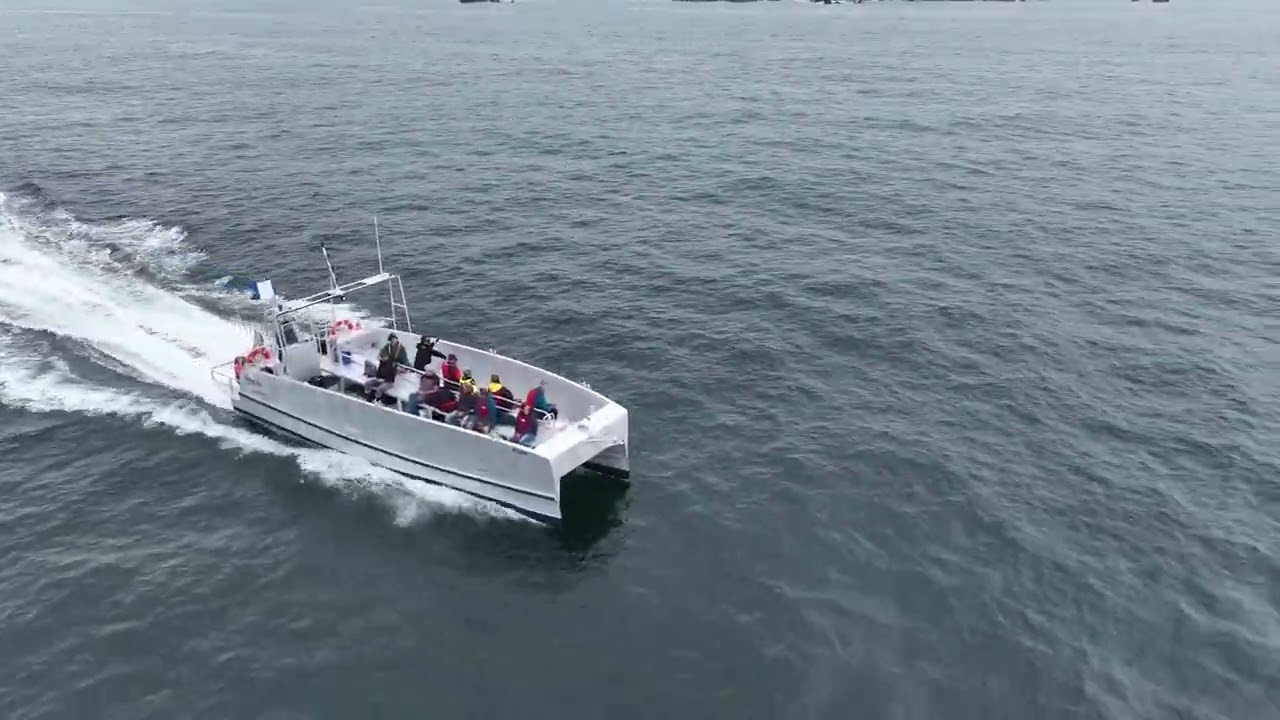 OdySea 1100 - Diving Catamaran