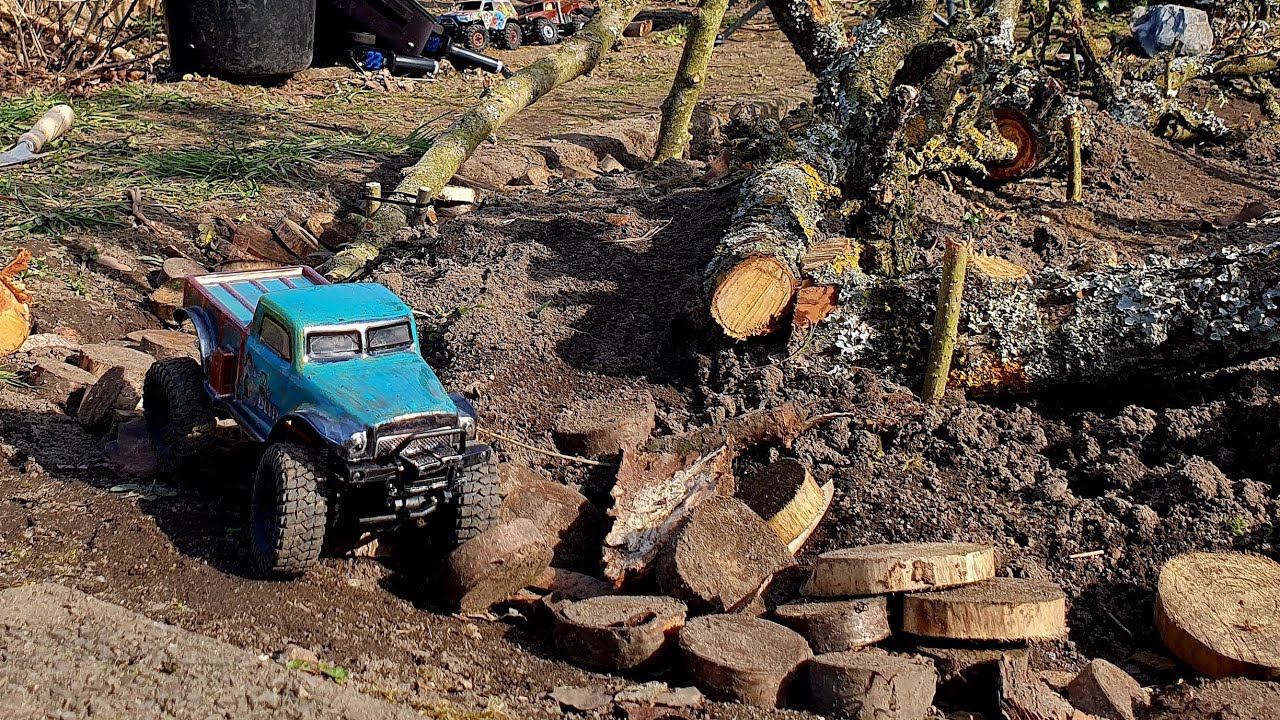 News from HOONILAND,  the dead wood forest!