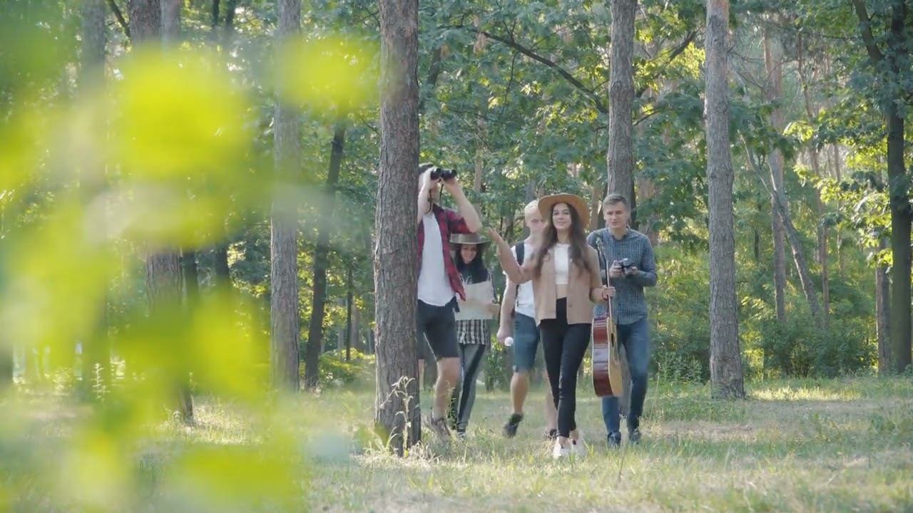 Stewart Island: New Zealand's Pristine Bird Sanctuary