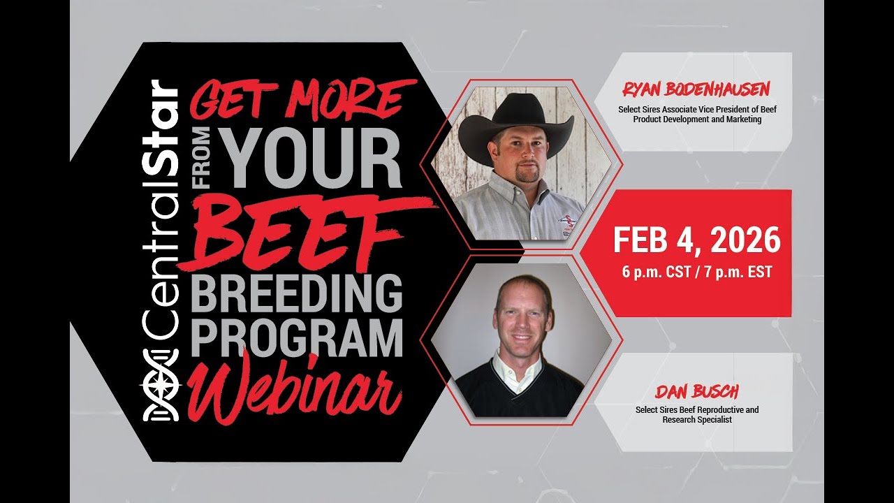 CentralStar Beef Breeding Webinar Feb. 4, 2026
