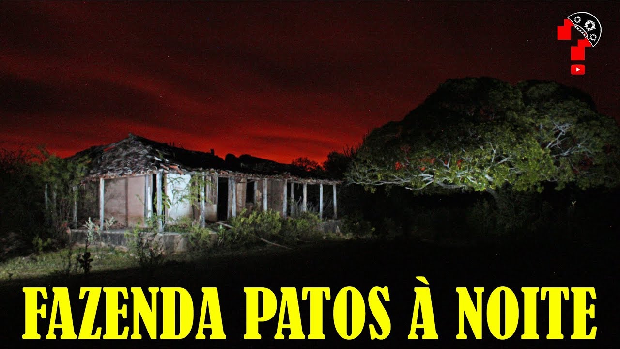 Fazenda Patos à Noite | O Cangaço na Literatura #159
