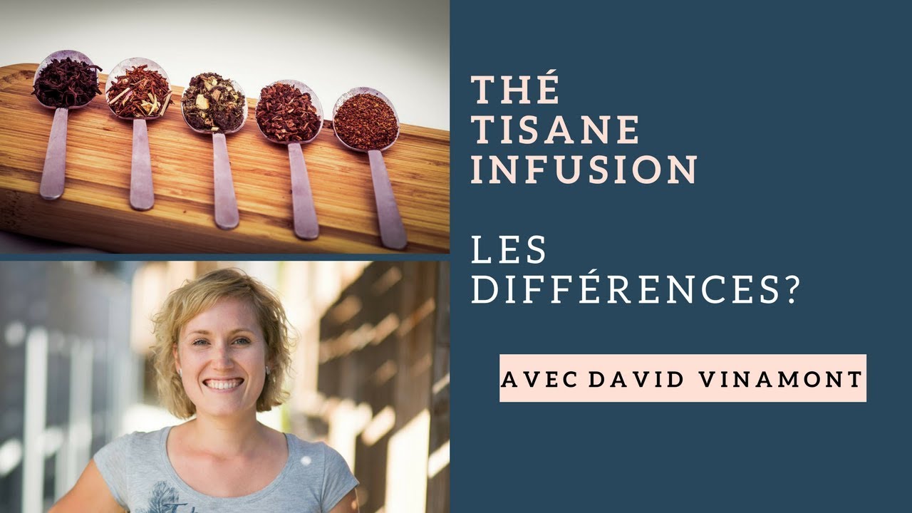 Palais des thés: Les différences entre les thés-tisanes-infusions