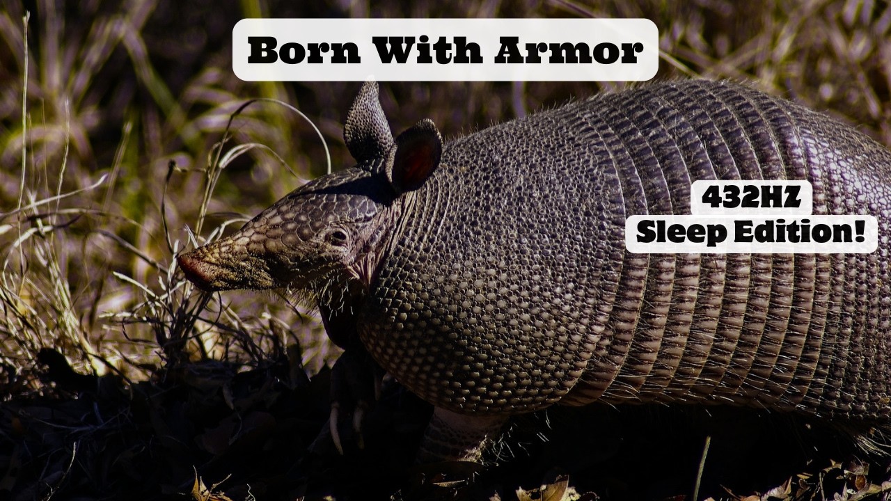 The Armadillo's Superpower: Unbreakable Peace | 432Hz Deep Sleep Music