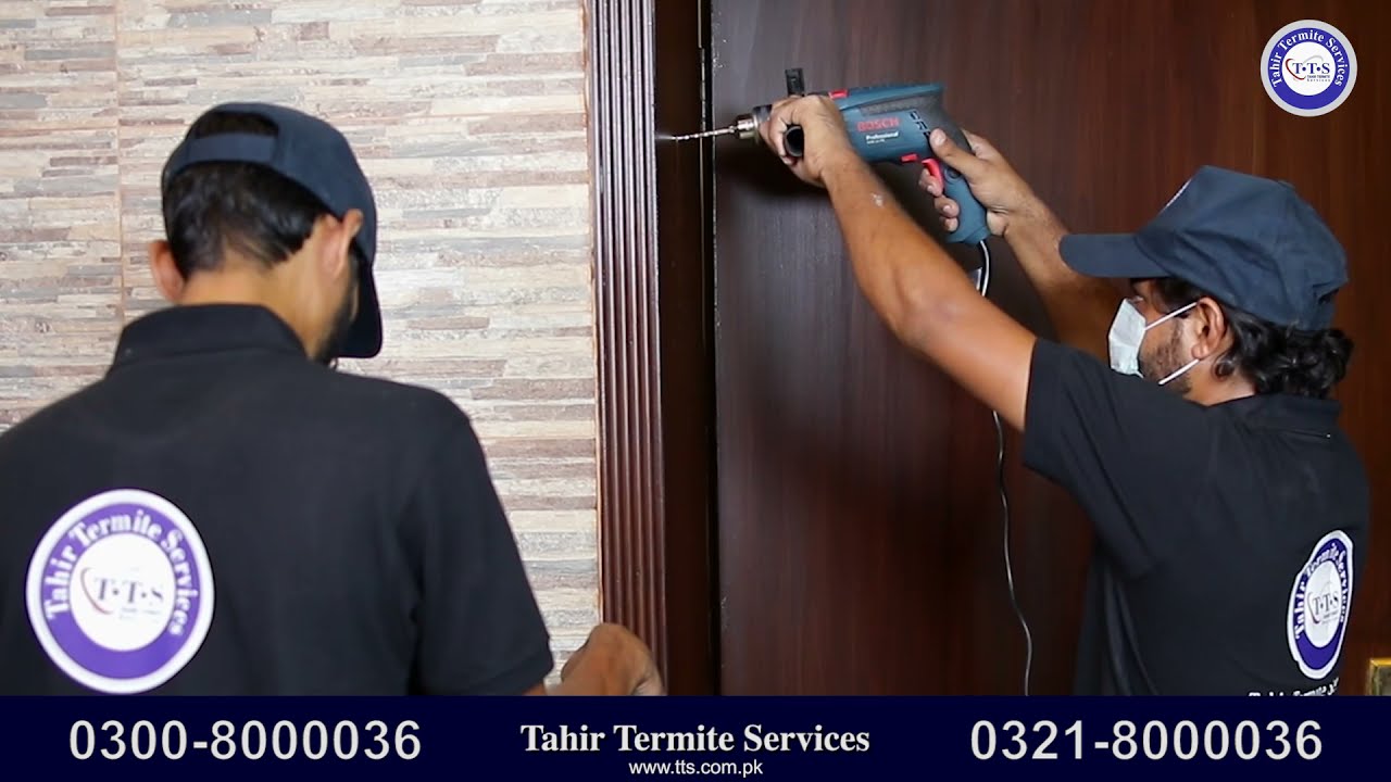 Anti Termite Treatment | Deemak Spray | Pest Control | Fumigation Services in Lahore Pakistan