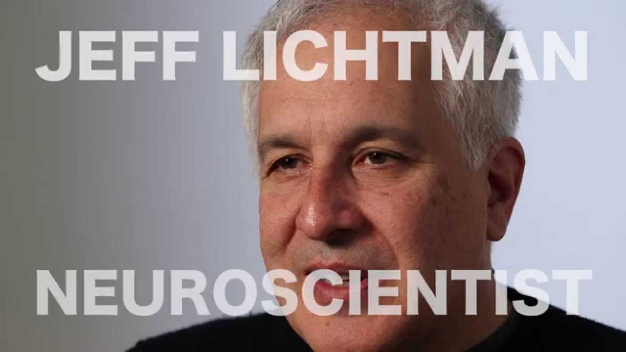 Connectomics Trailer: Big Microscopes & Tiny Synapses