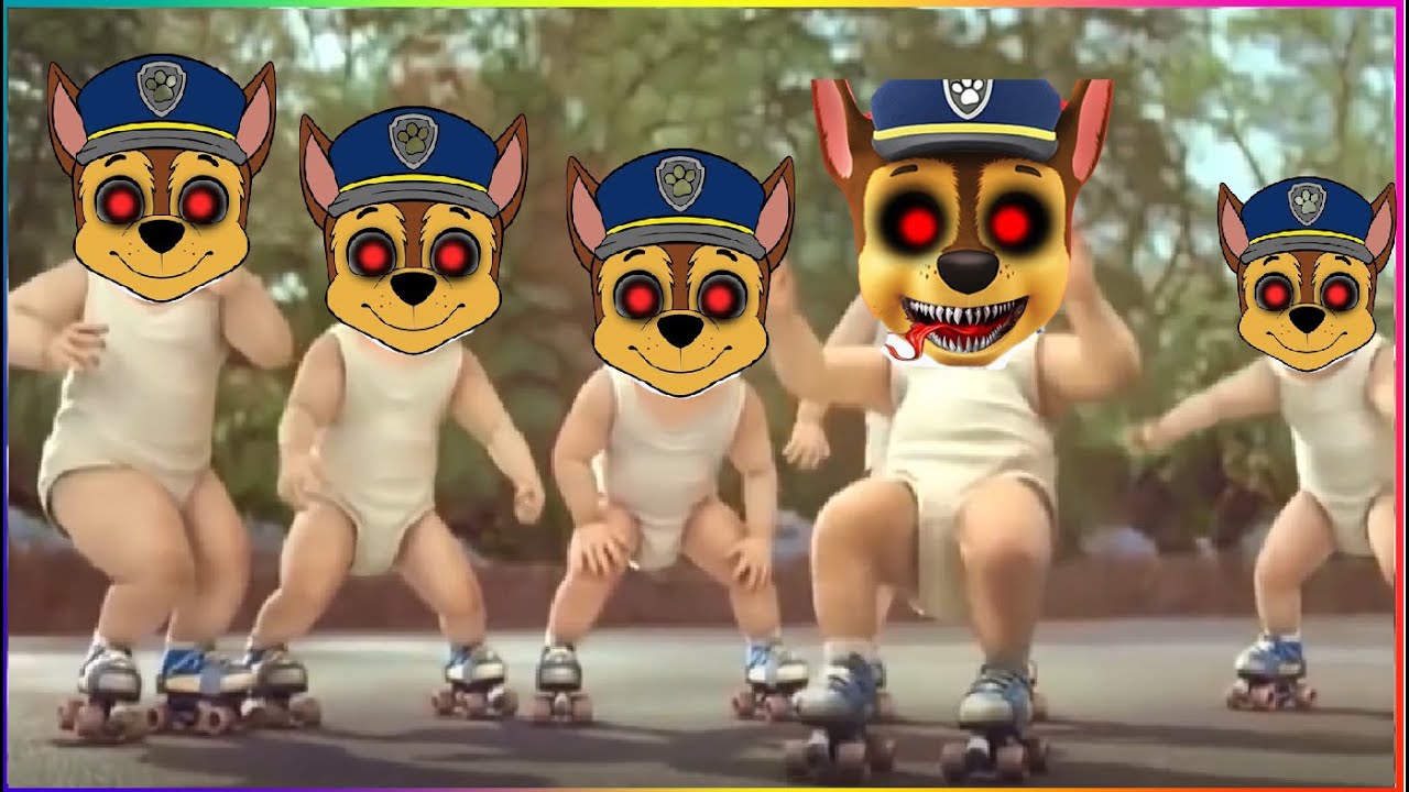 Paw Patrol EXE | Baby Coffin Dance - Baby Shark Cover #Shorts