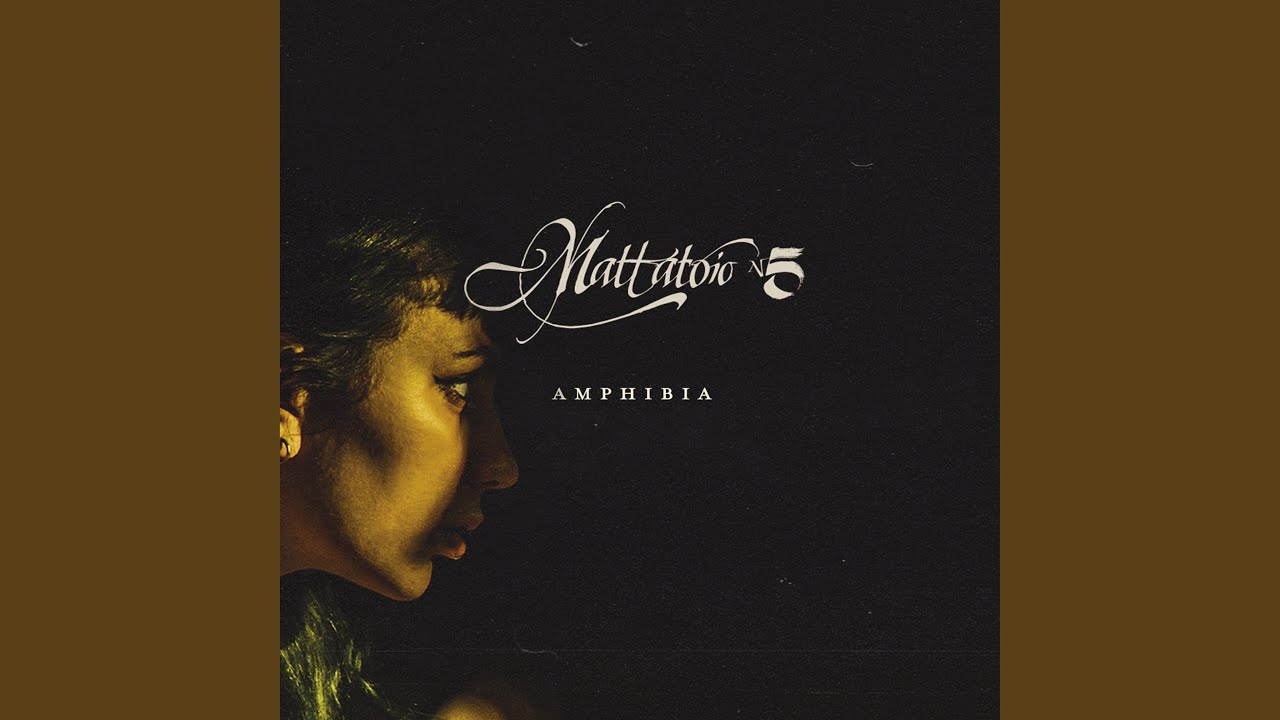 Amphibia