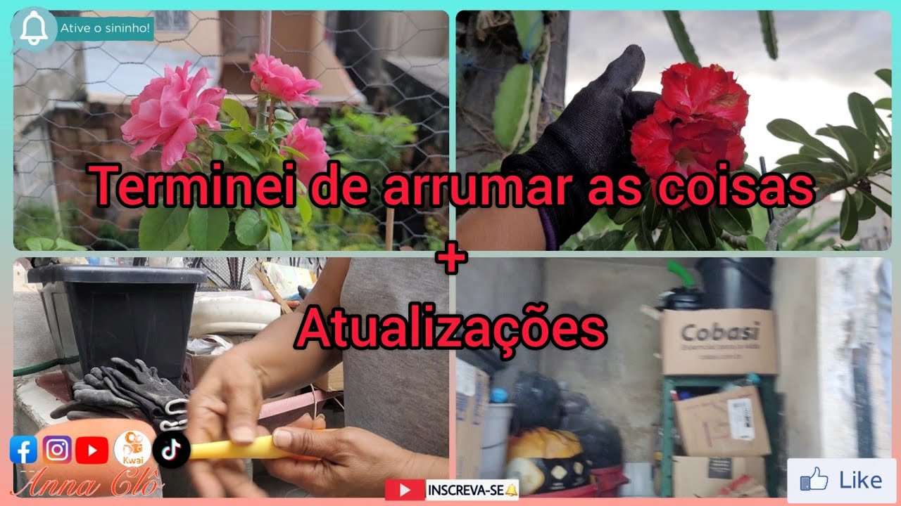 Terminei de organizar minhas coisas, e atualizações 