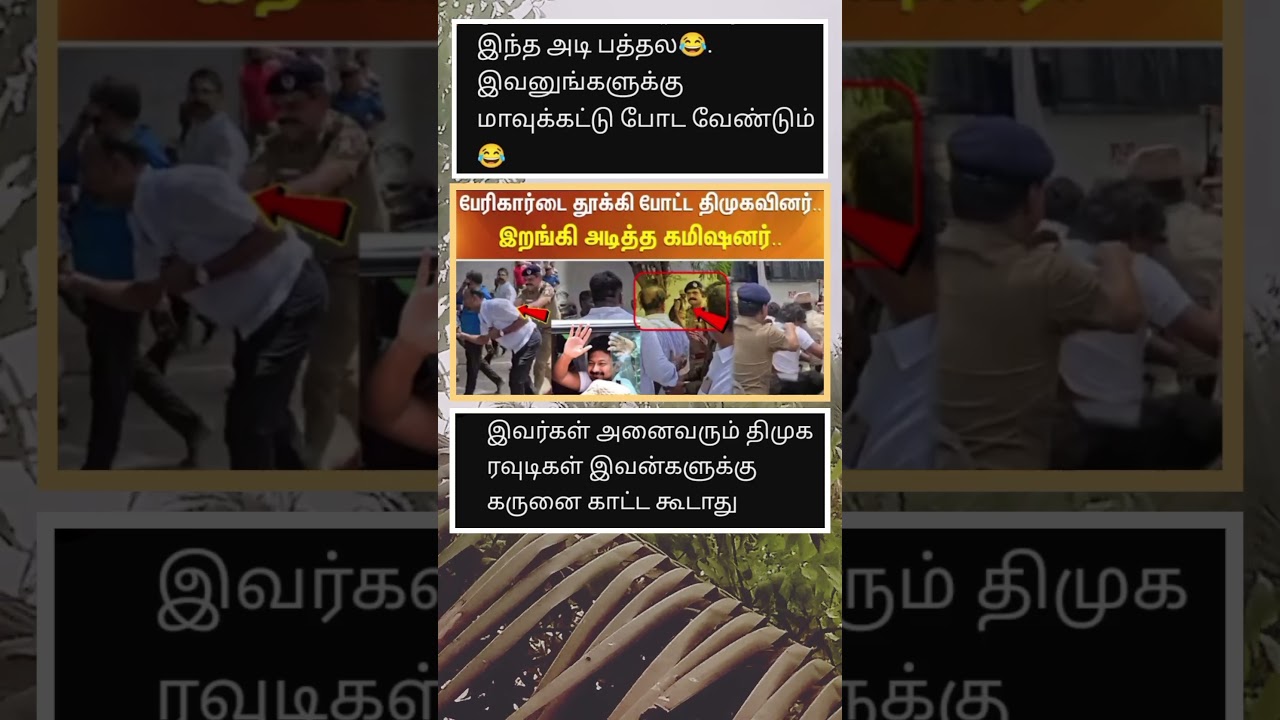 🤣கேள்வி கேட்டு பதிலுக்கு முறைத்தபடியே சென்ற அமல்ராஜ் #CMVijay​ #UdhayanidhiStalin​ #Arrest​ #Police