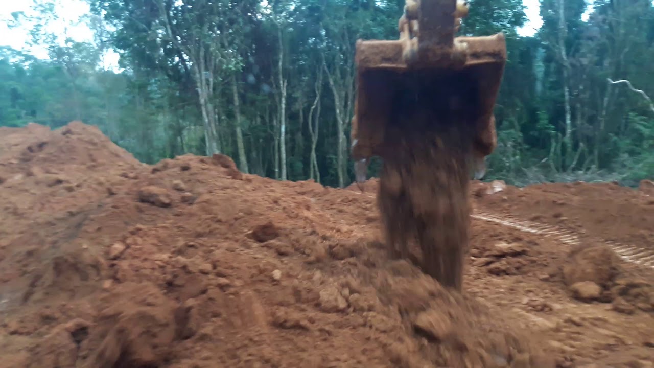 Trabalhos pantera