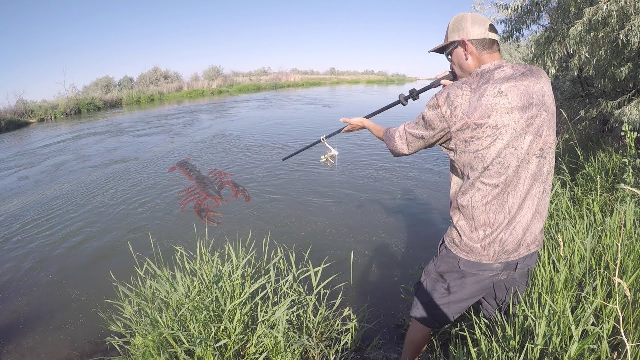 Trampa Y Cerbatana | Caza Y Pesca