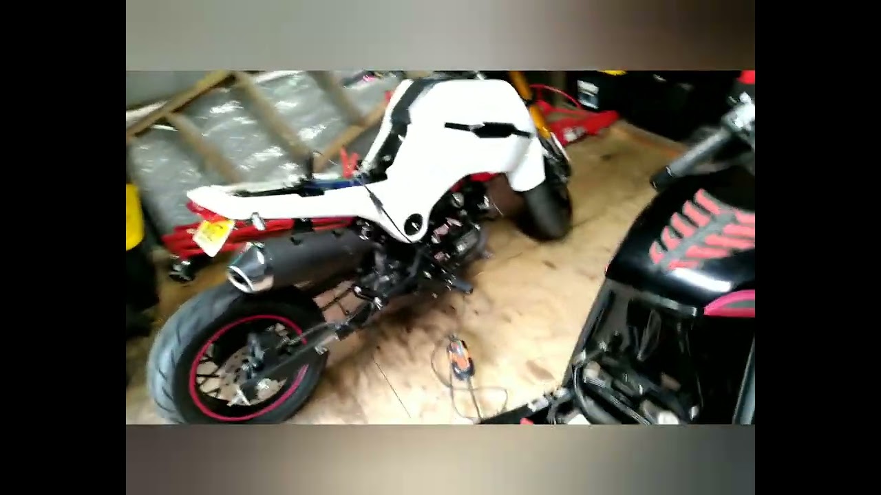 2021 Icebear Fuerza / Grom clone (wife's new bike)
