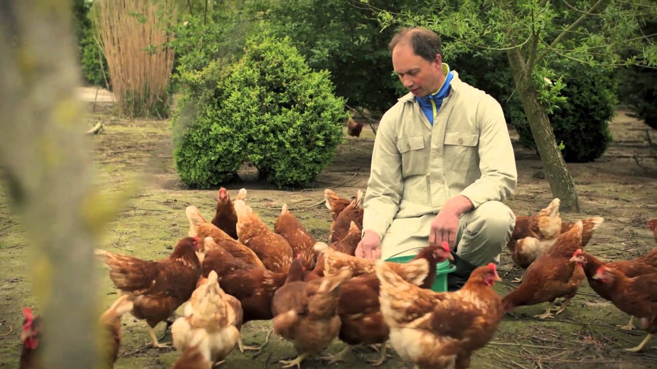 Boer Kees vertelt