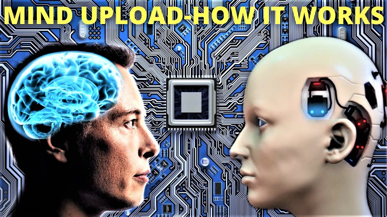 Neuralink | Elon Musk And The Brain Computer Interface (Artificial Intelligence ai)
