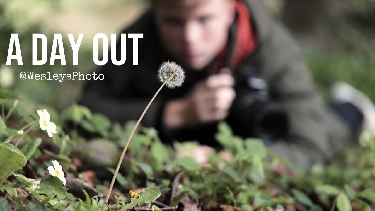 A Day Out - Short Film MNHP