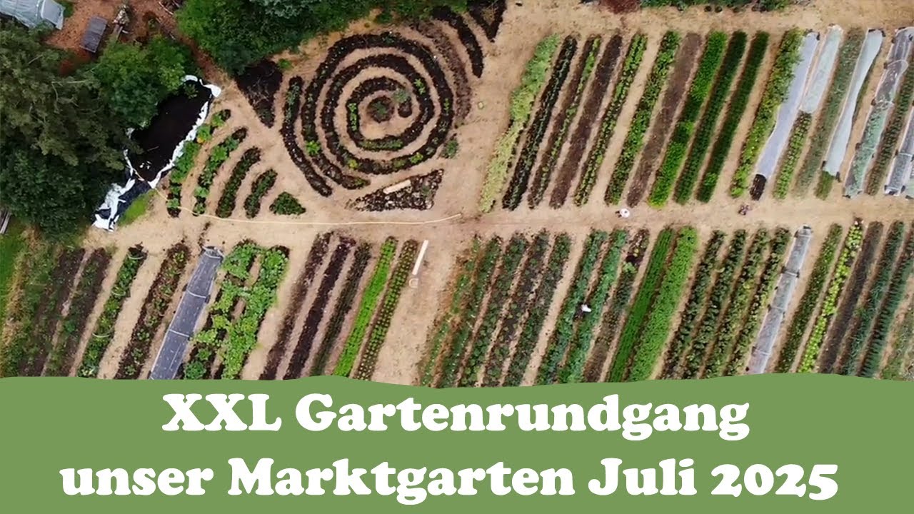 Rundgang durch unseren Marktgarten Selbstversorger Garten Juli 2025