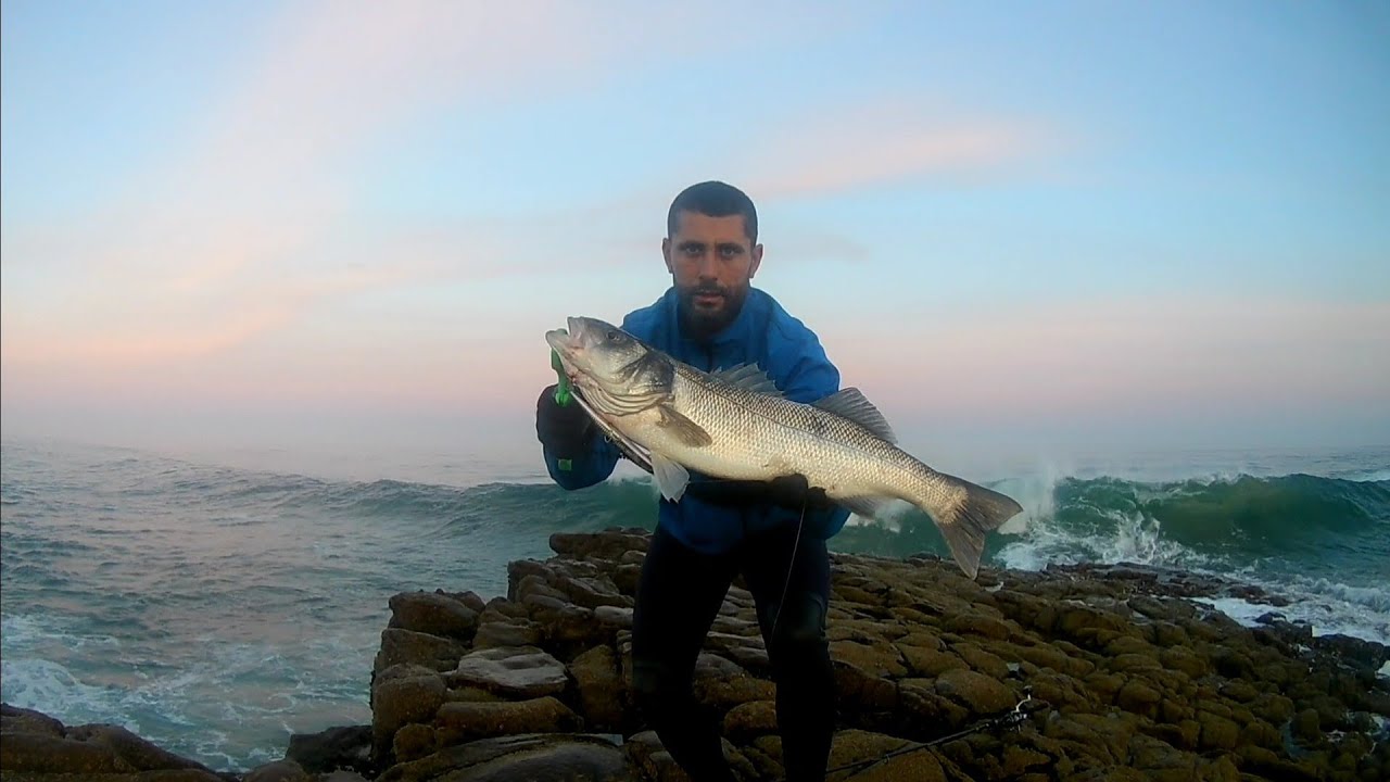Pesca Spinning #Robalos #Lubinas#Labrax #SpanishLures#Portugal🎣🇵🇹
