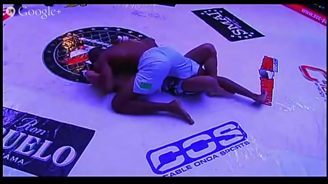 MMA GREAT FIGHT - MAIN EVENT - Ludwing 