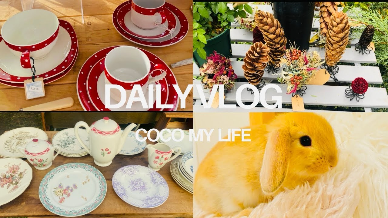 【vlog】東京蚤の市2025🍁ヴィンテージ&アンティーク食器巡り🚶🤍➕カフェ☕️日常vlog🐰🤍