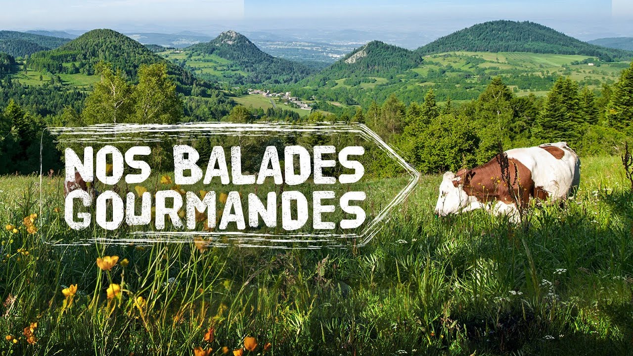 FR3 et ses balades gourmandes : l'AOP Abondance et la STG Berthoud