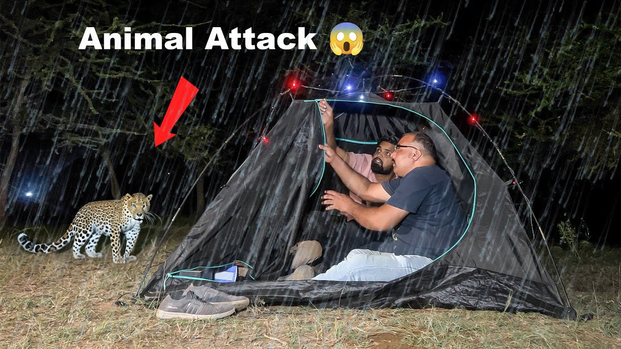 Night camping In Dangerous Forest😱 | कैंप छोड़ कर भागना पड़ा |  Can We Survive 24 Hours ?