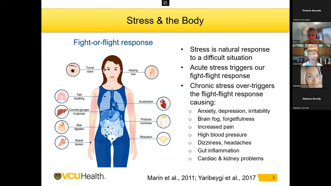 Stress Management and Mindfulness