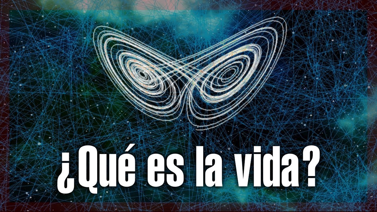 &iquest;Qu&eacute; es la vida? - Documental Corto
