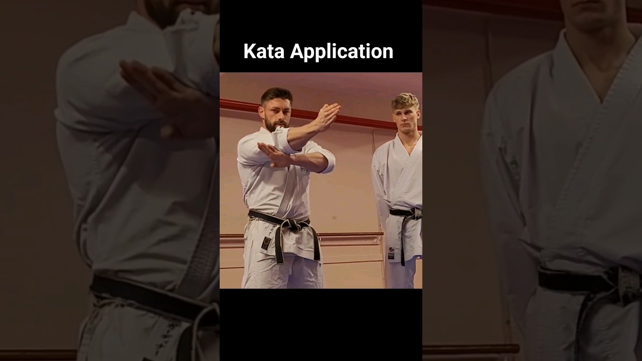 Применение ката &mdash; Из какой это ката? #каратэ #техникакаратэ #сётокан #боевыеискусства