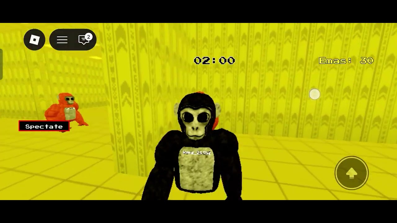 Playing little ape btm(1)