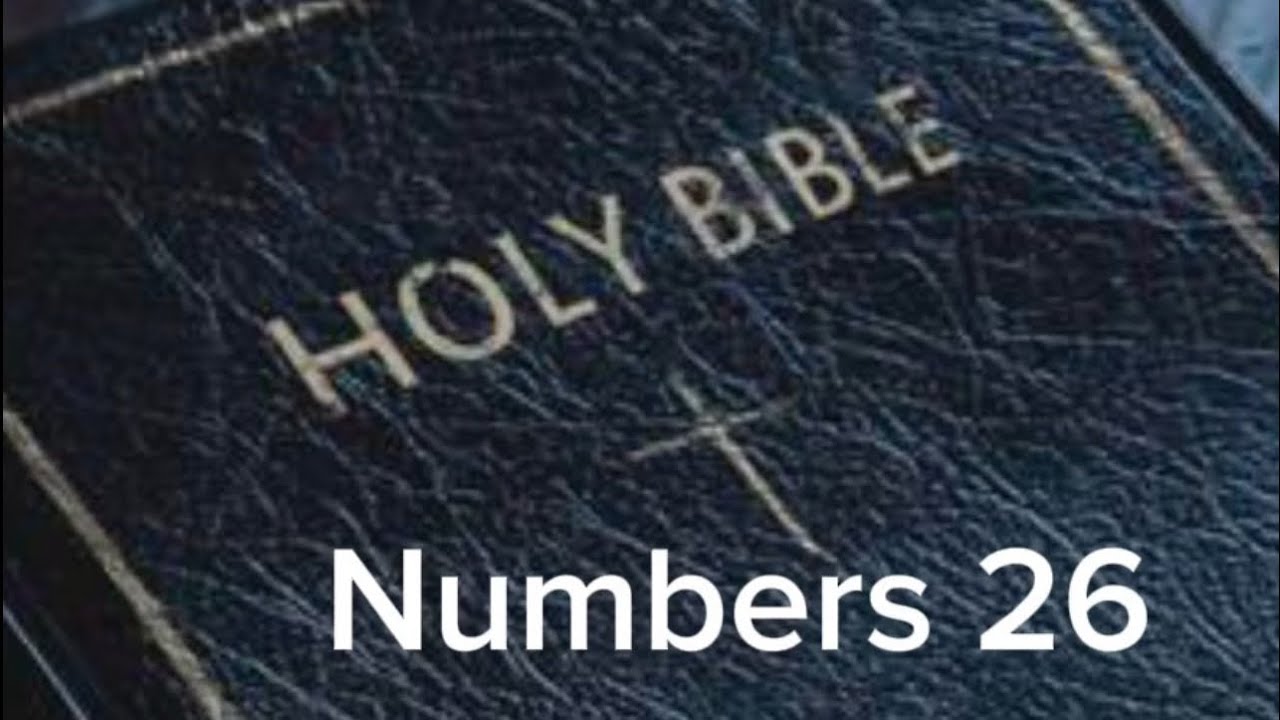 Numbers 26 (NIV) The Audio Bible
