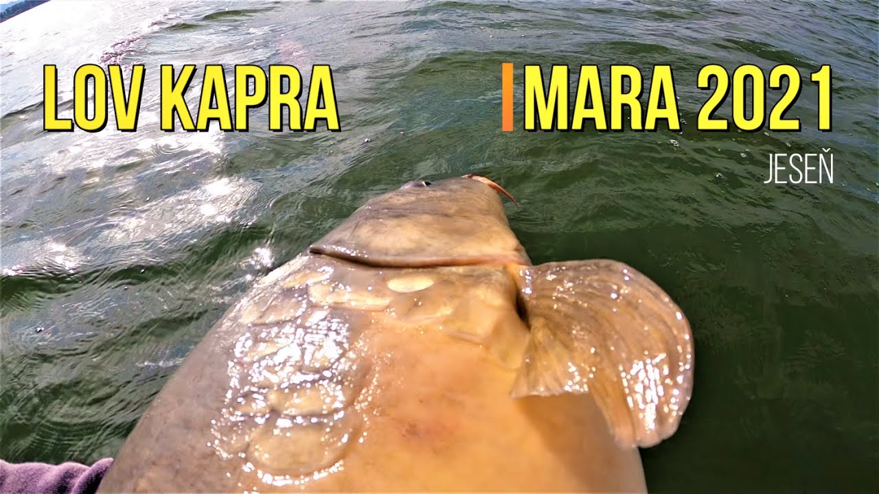 Lov Kapra na Boilies 🐋 Liptovská Mara Jeseň | Rybárske Videá s Demexom 🍁 Sportcarp→ Lov Kaprov Kaprů