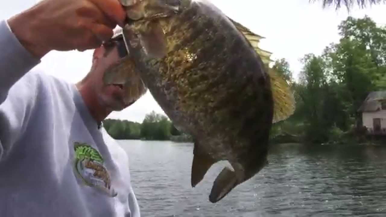 Vermont Trophy Smallmouth Bass
