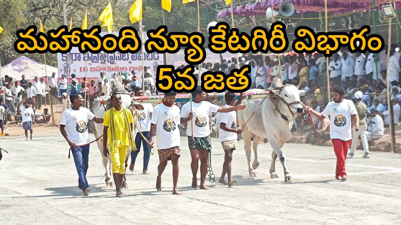 మహానంది న్యూ కేటగిరి విభాగం 5 వ జత