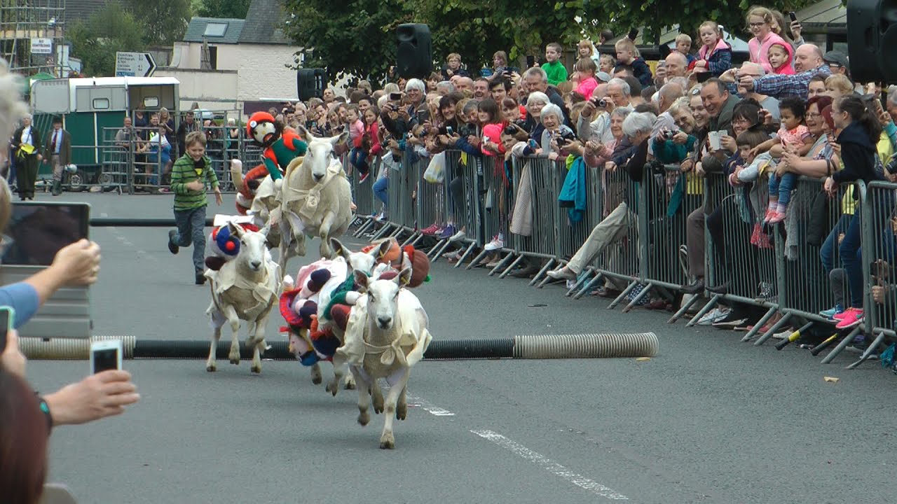 Moffat Sheep Races 2016