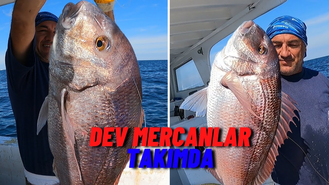 ARADIĞIMIZ MERCAN'LARI BULDUK ! | DEV MERCAN'LA MUTLU OLDUK :)