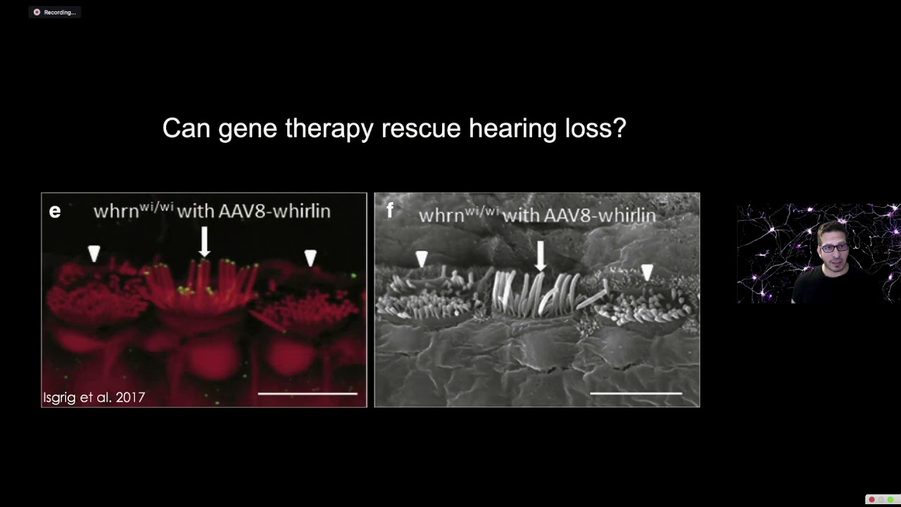 Uri Manor PhD, Biophotonics Core Director: 21st Century Imaging at the Salk Institute
